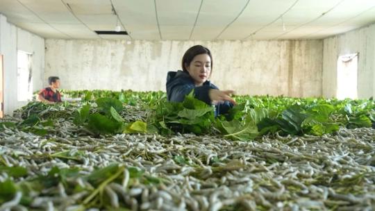 图片 1.png 图片 1.png